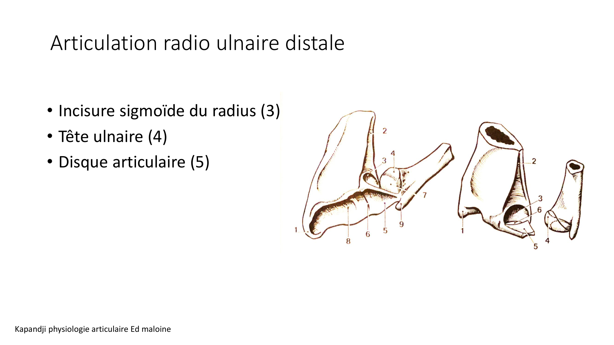 1 BA MS coude 2025-26 page 32