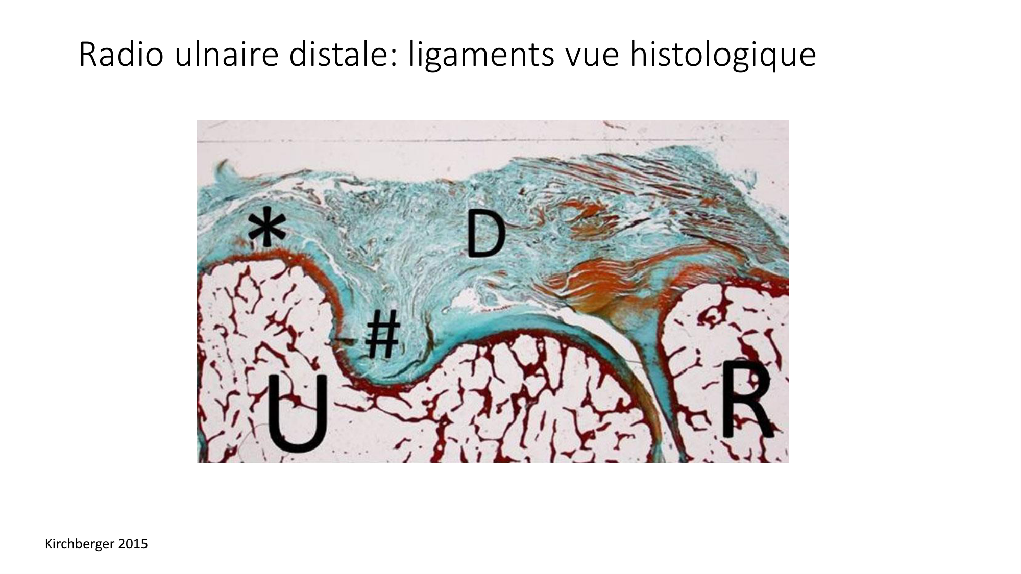1 BA MS coude 2025-26 page 34