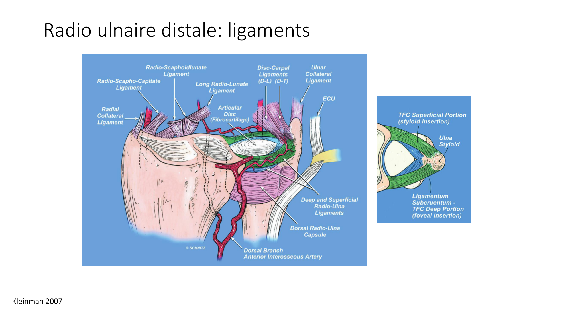 1 BA MS coude 2025-26 page 35