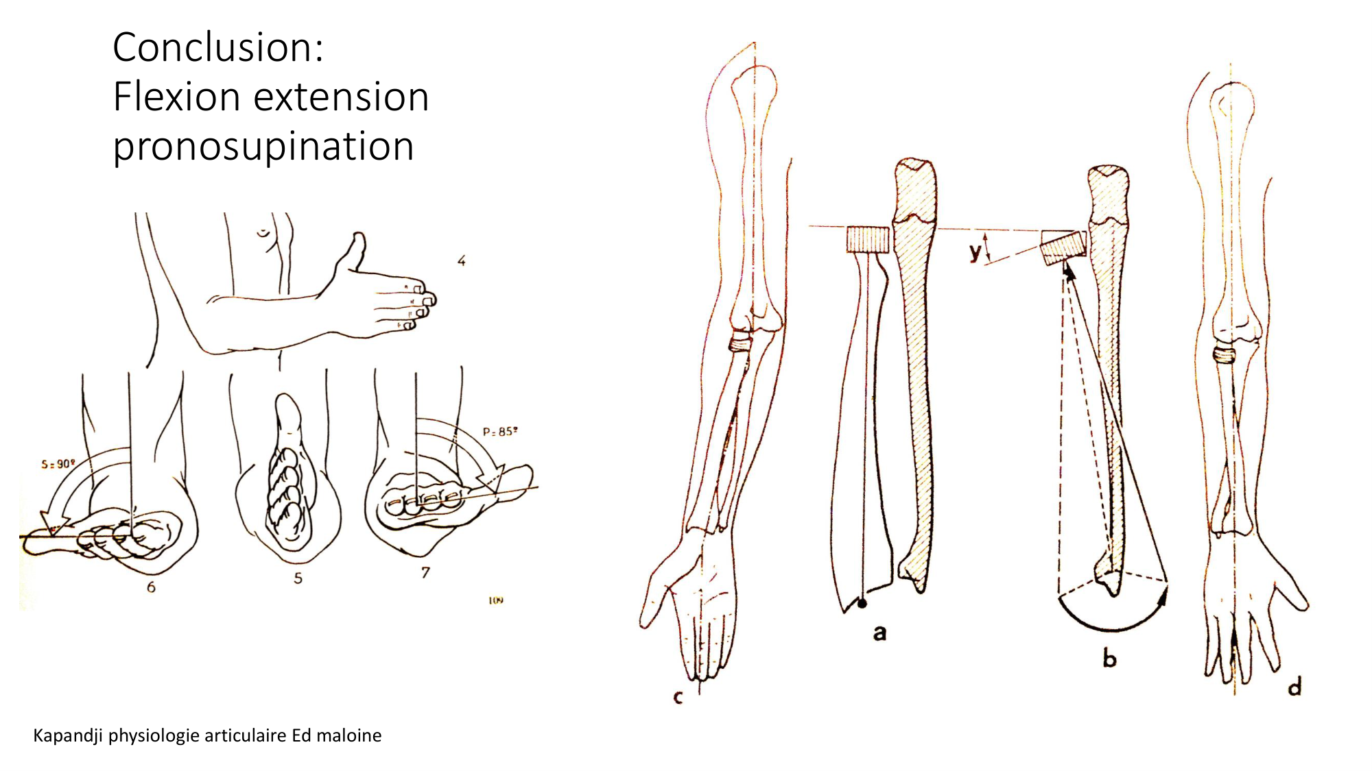 1 BA MS coude 2025-26 page 37