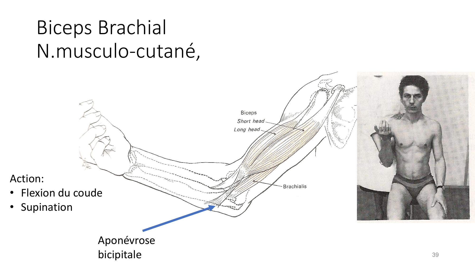 1 BA MS coude 2025-26 page 39