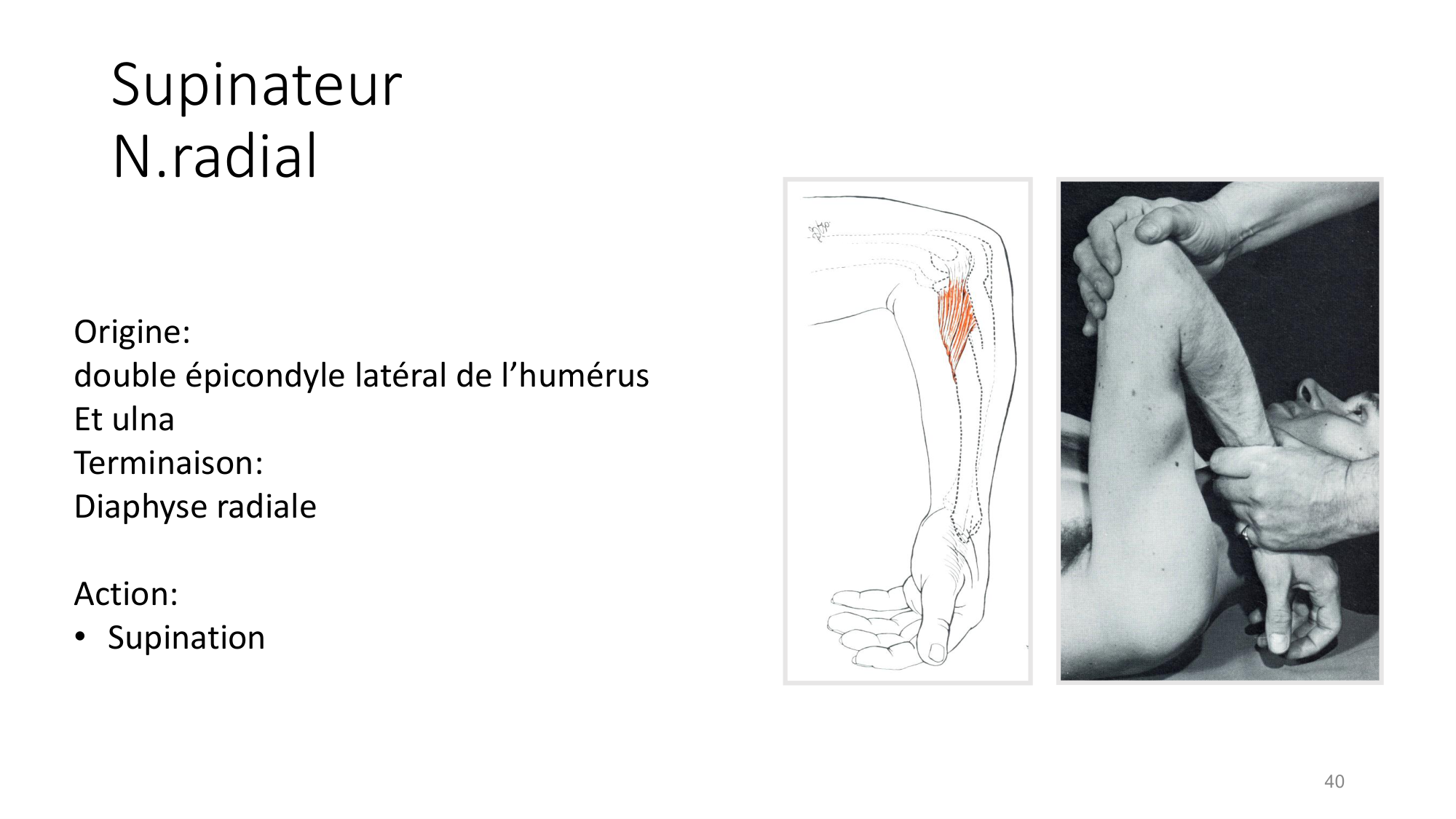 1 BA MS coude 2025-26 page 40