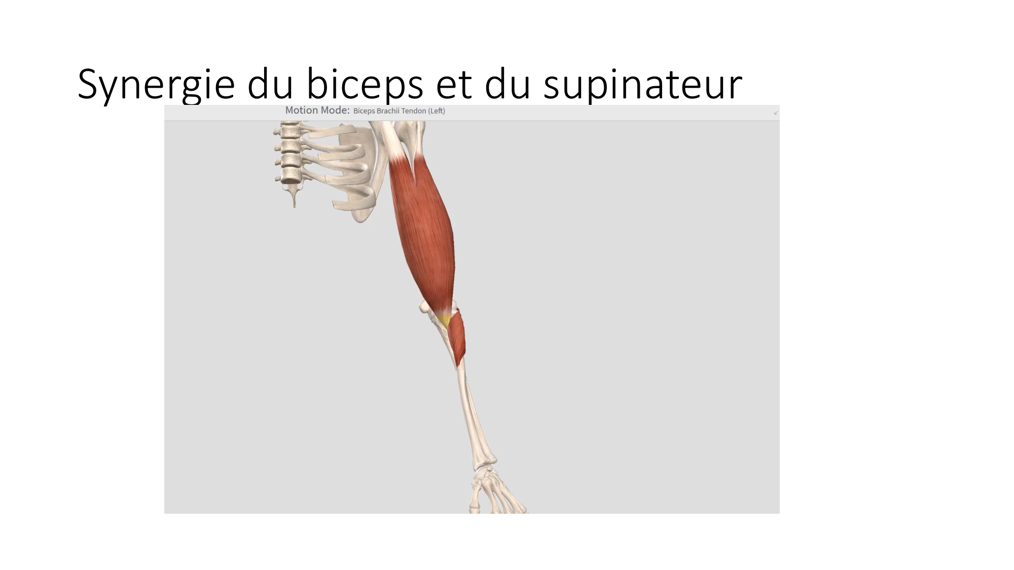 1 BA MS coude 2025-26 page 41