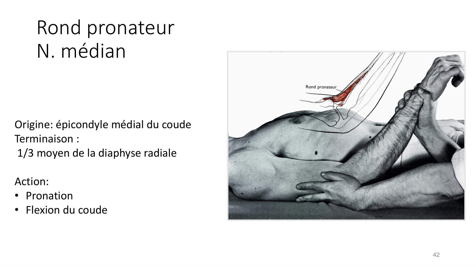 1 BA MS coude 2025-26 page 42