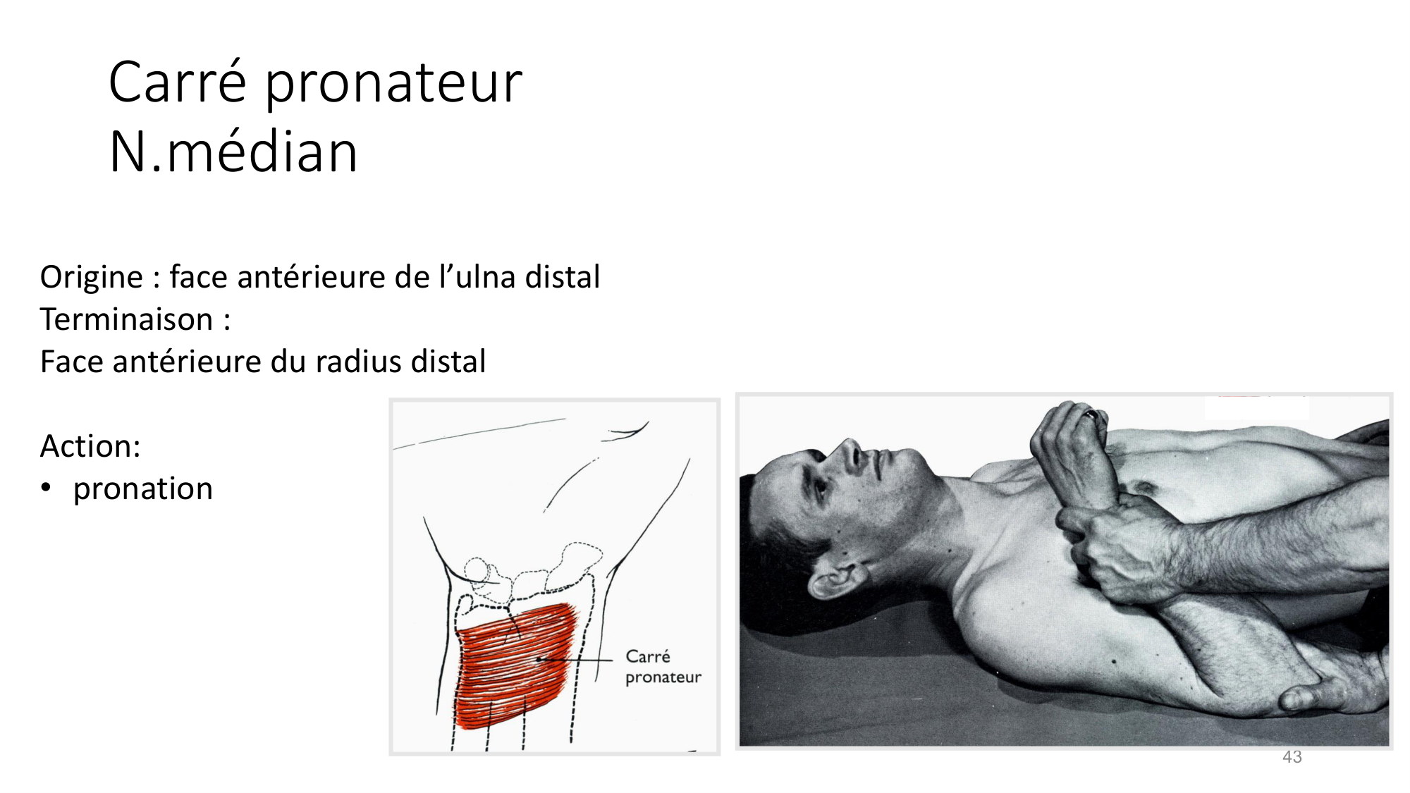 1 BA MS coude 2025-26 page 43