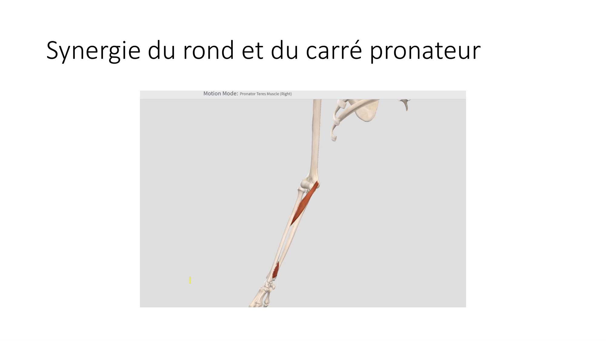 1 BA MS coude 2025-26 page 44