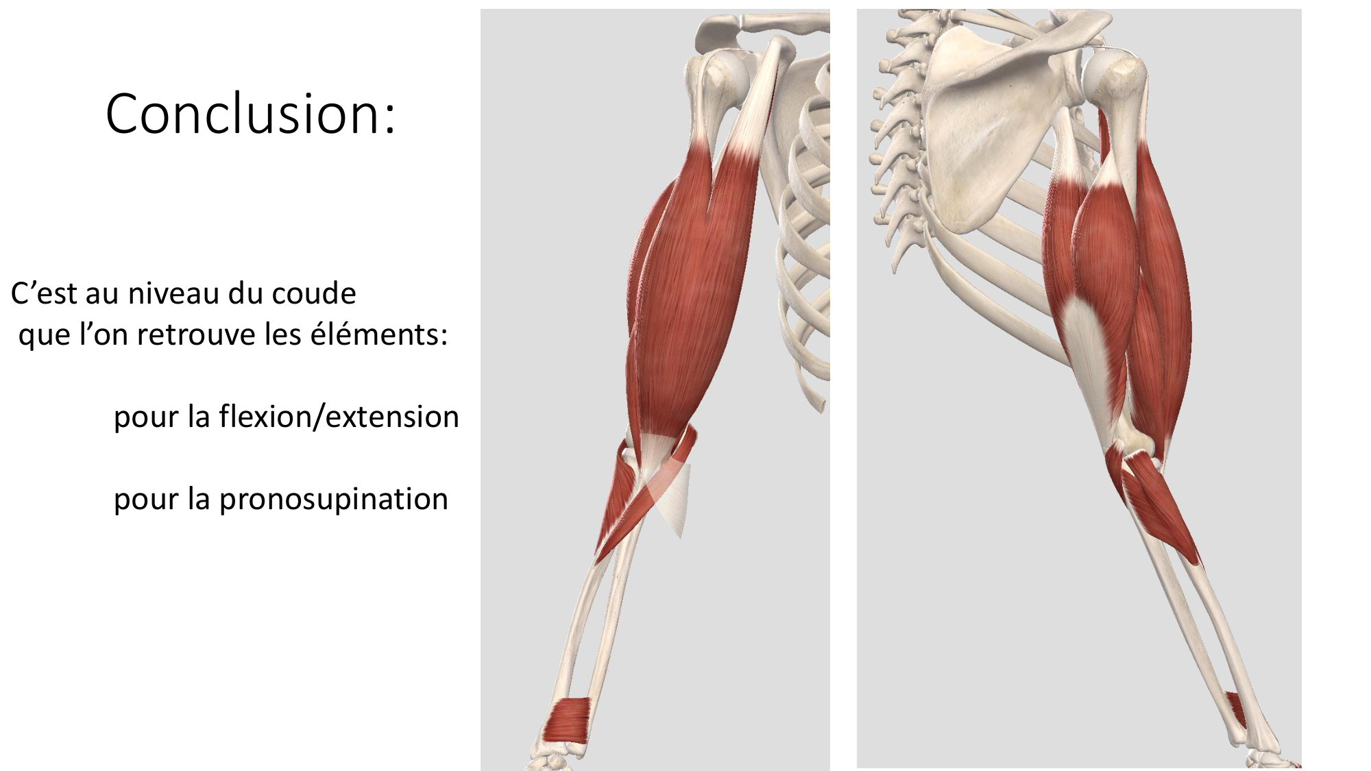 1 BA MS coude 2025-26 page 45