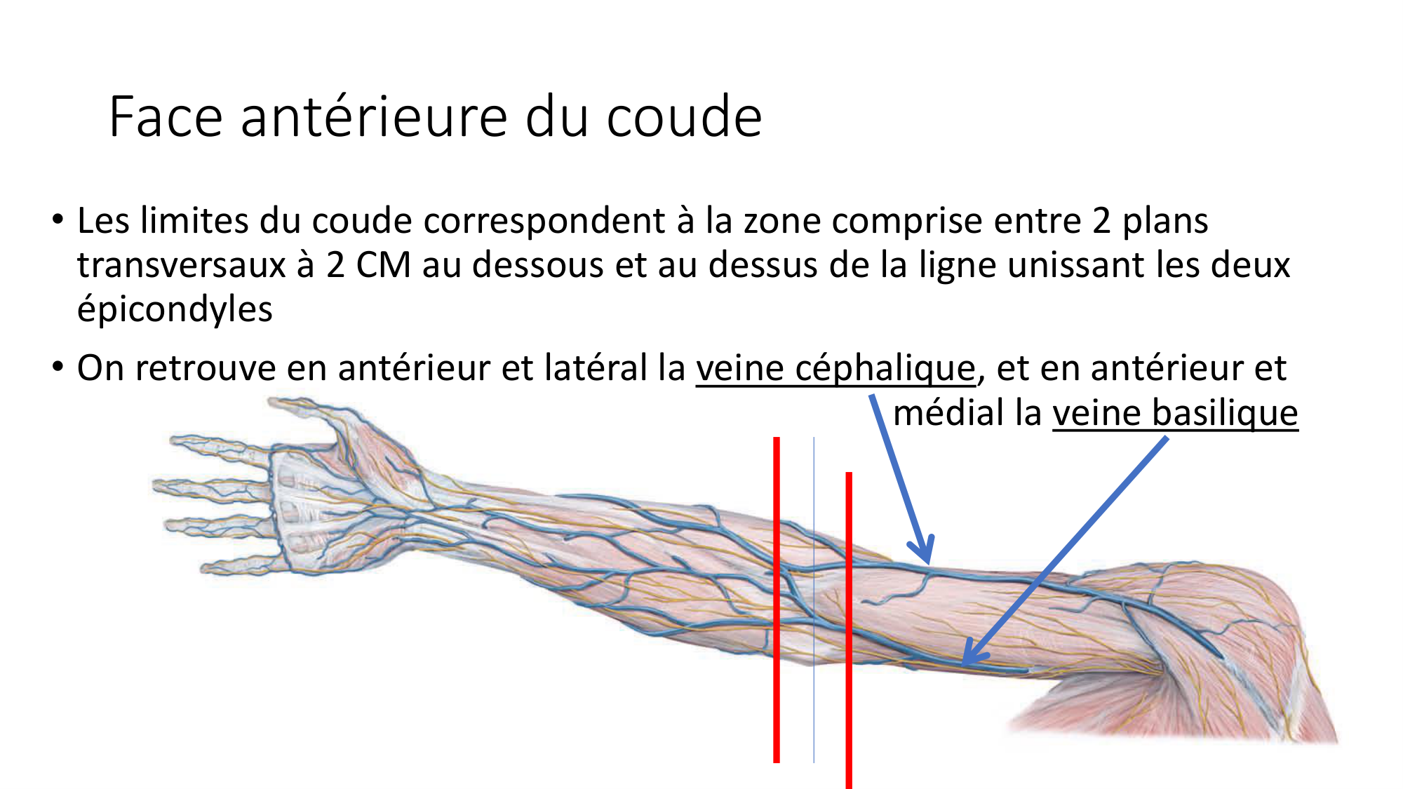 1 BA MS coude 2025-26 page 46
