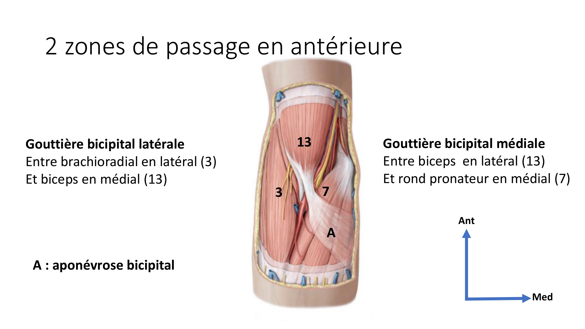 1 BA MS coude 2025-26 page 47