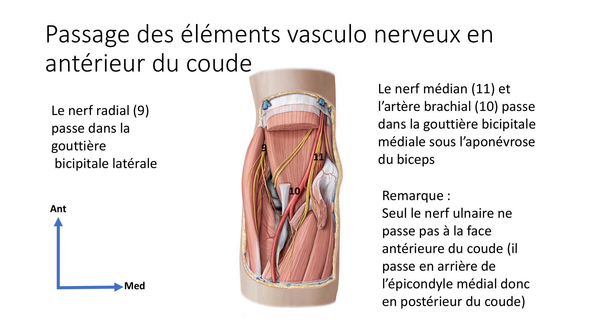 1 BA MS coude 2025-26 page 48