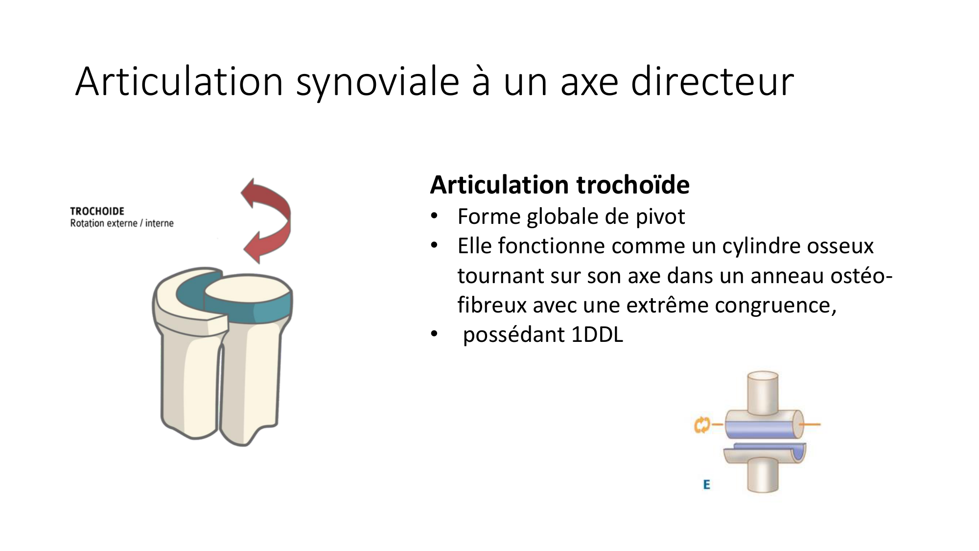1 BA généralité ostéologie arthrologie 2025-26 page 48
