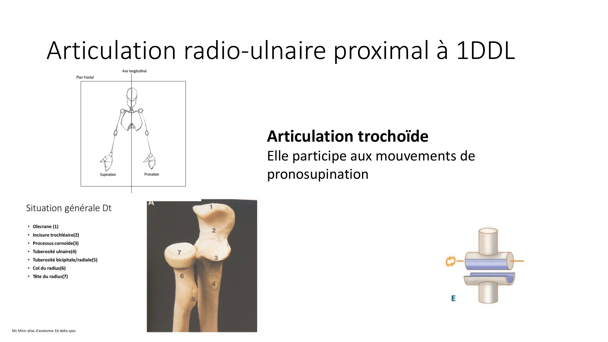 1 BA généralité ostéologie arthrologie 2025-26 page 49