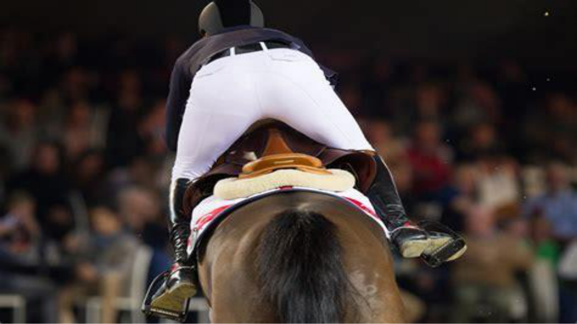 1 BA généralité ostéologie arthrologie 2025-26 page 55