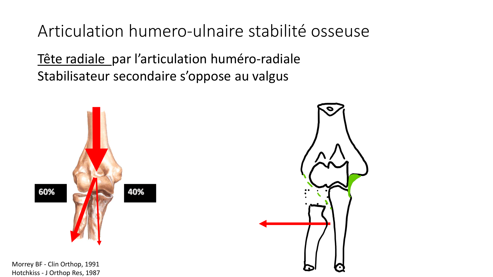 1 BA généralité ostéologie arthrologie 2025-26 page 70