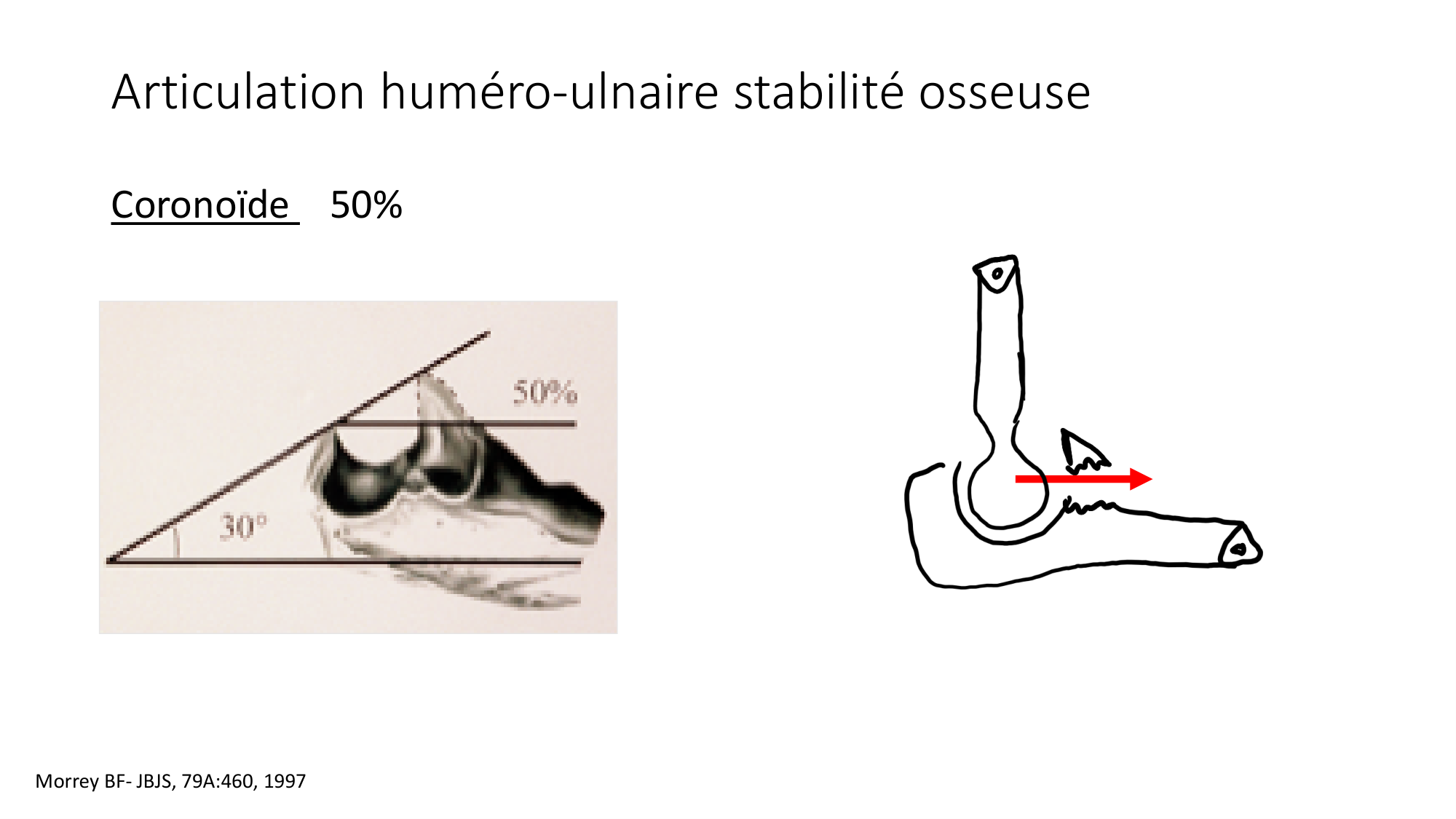 1 BA généralité ostéologie arthrologie 2025-26 page 72