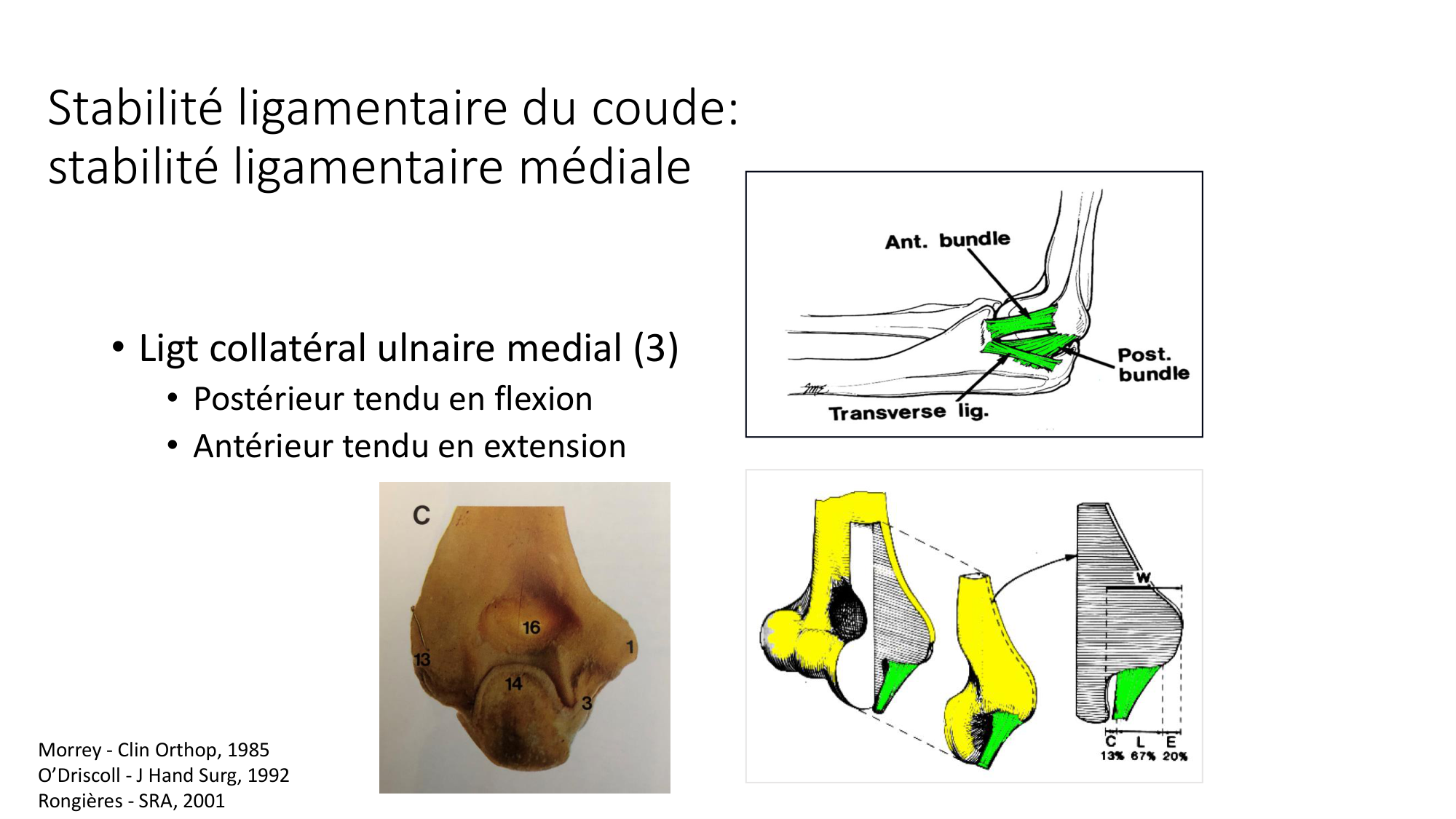1 BA généralité ostéologie arthrologie 2025-26 page 73