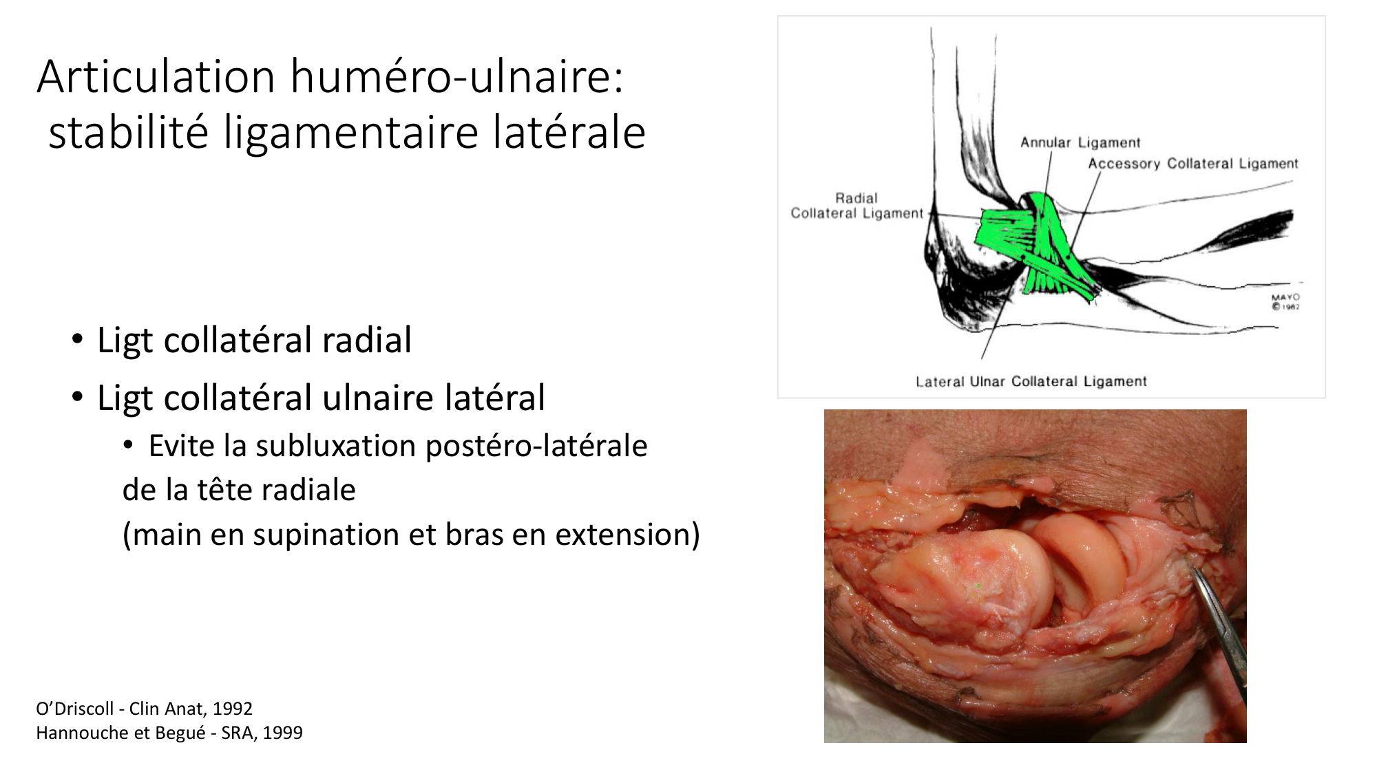 1 BA généralité ostéologie arthrologie 2025-26 page 74