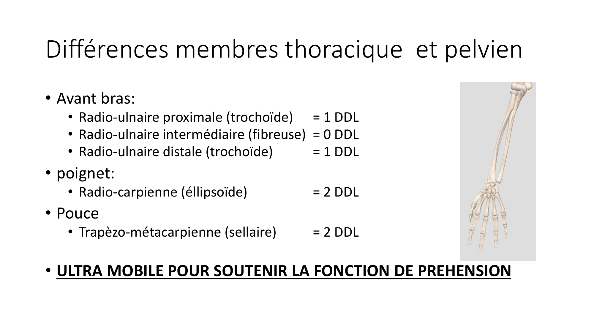 1 BA généralité ostéologie arthrologie 2025-26 page 79