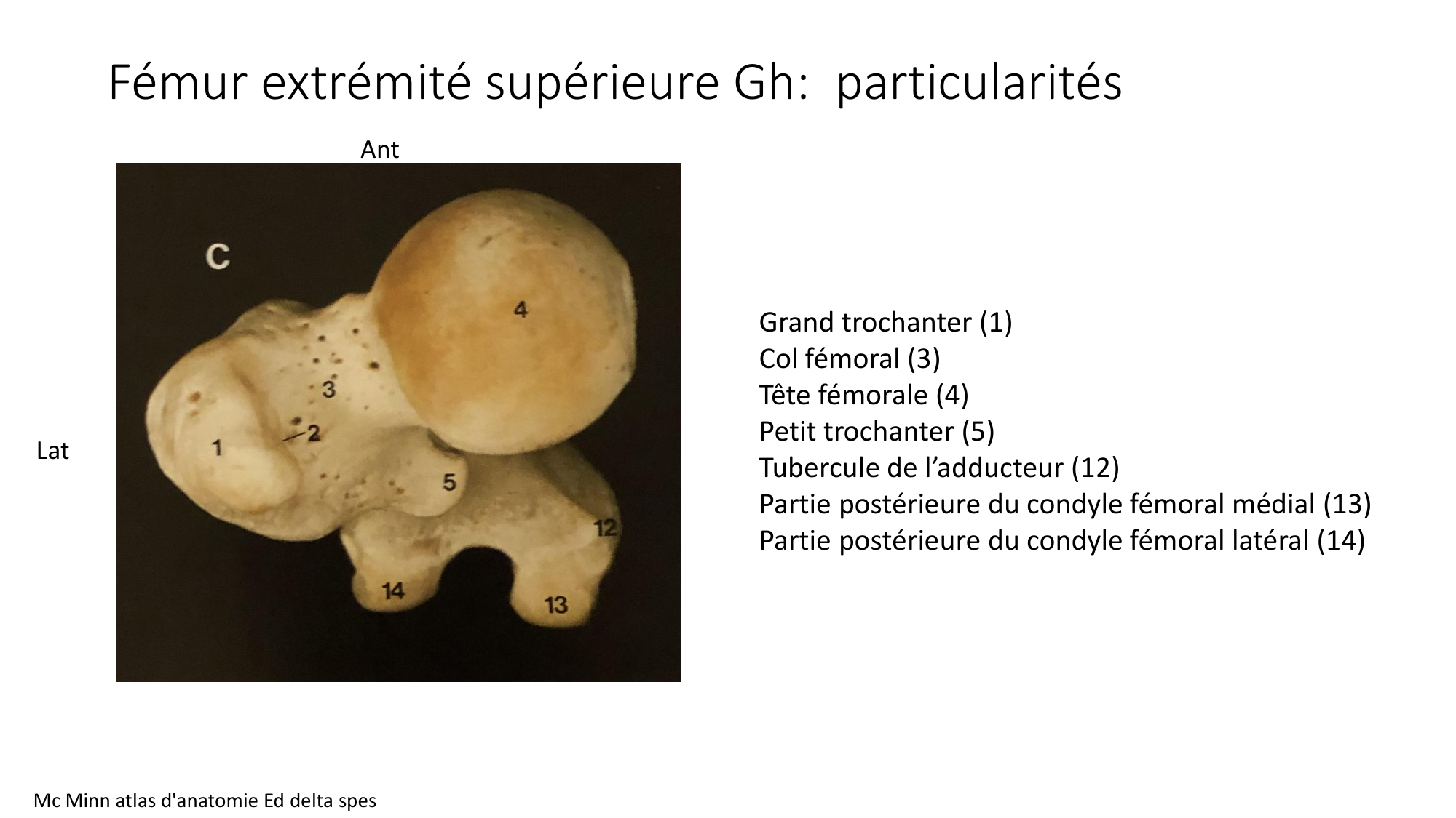 1 BA ostélogie MI bassin 2025-26 page 13