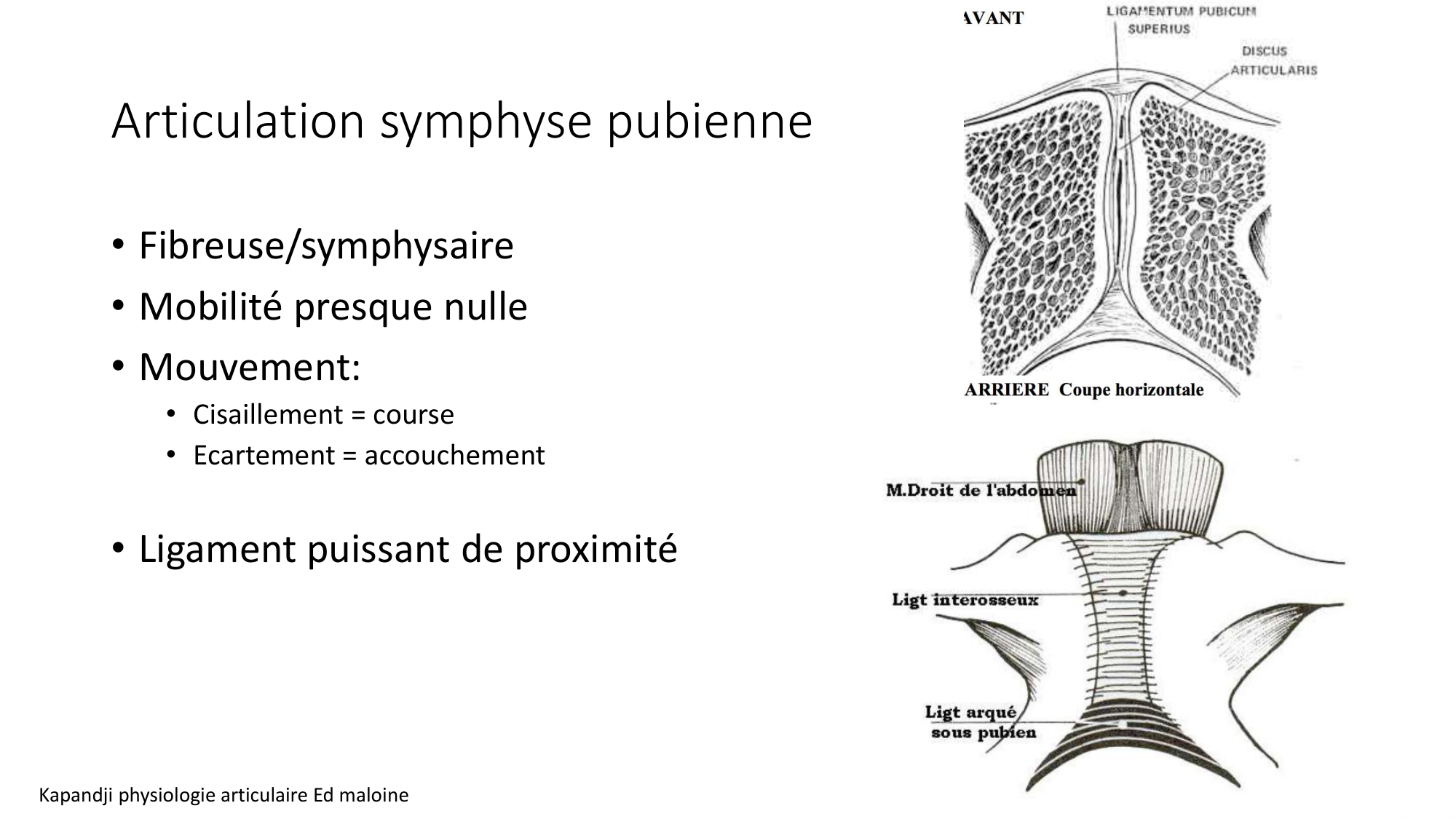 1 BA ostélogie MI bassin 2025-26 page 19