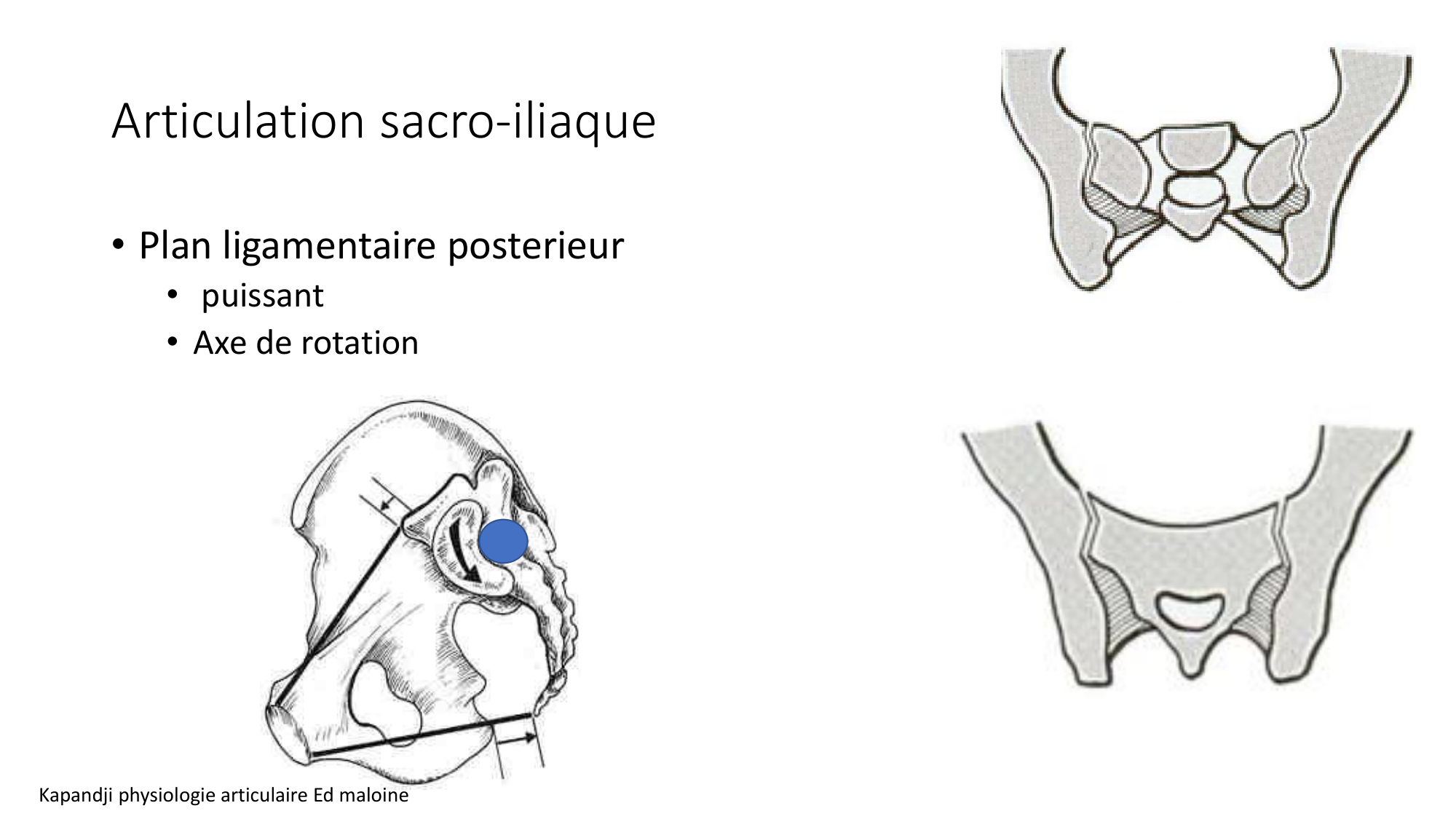 1 BA ostélogie MI bassin 2025-26 page 21