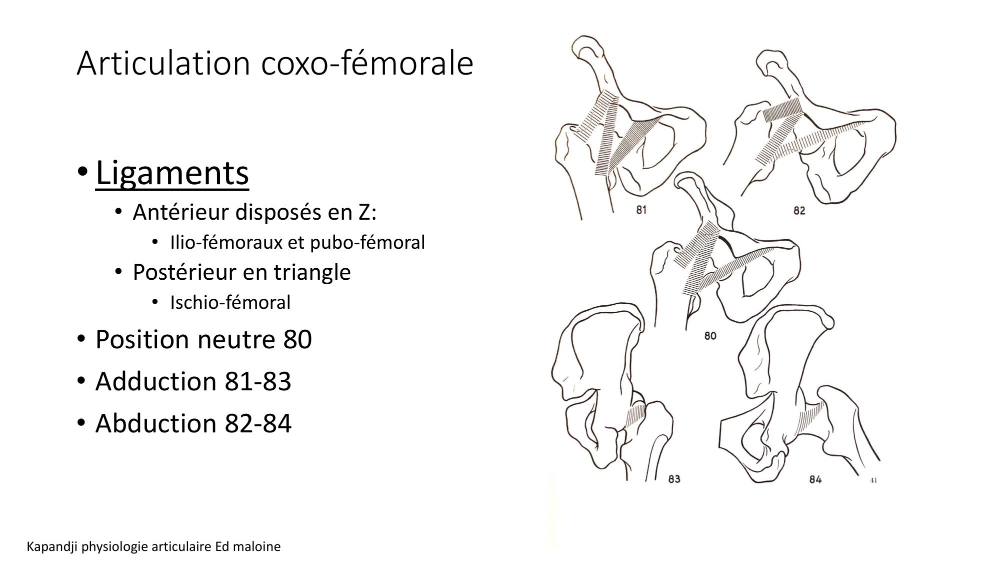 1 BA ostélogie MI bassin 2025-26 page 32