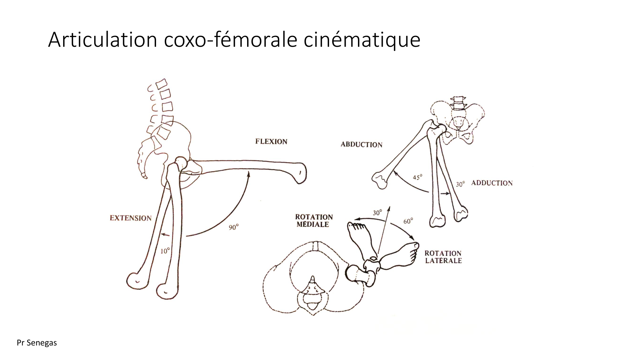 1 BA ostélogie MI bassin 2025-26 page 34