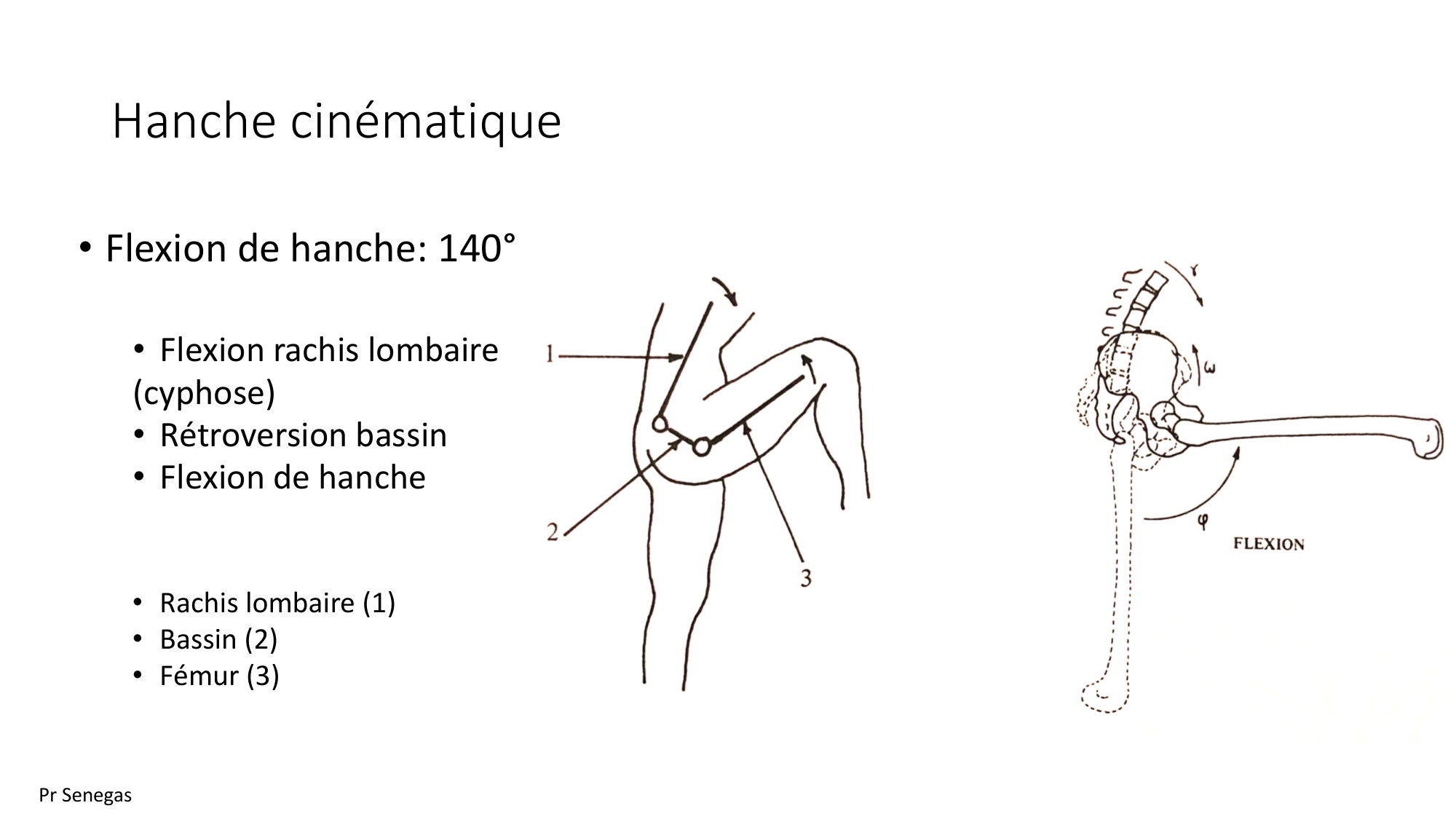 1 BA ostélogie MI bassin 2025-26 page 35
