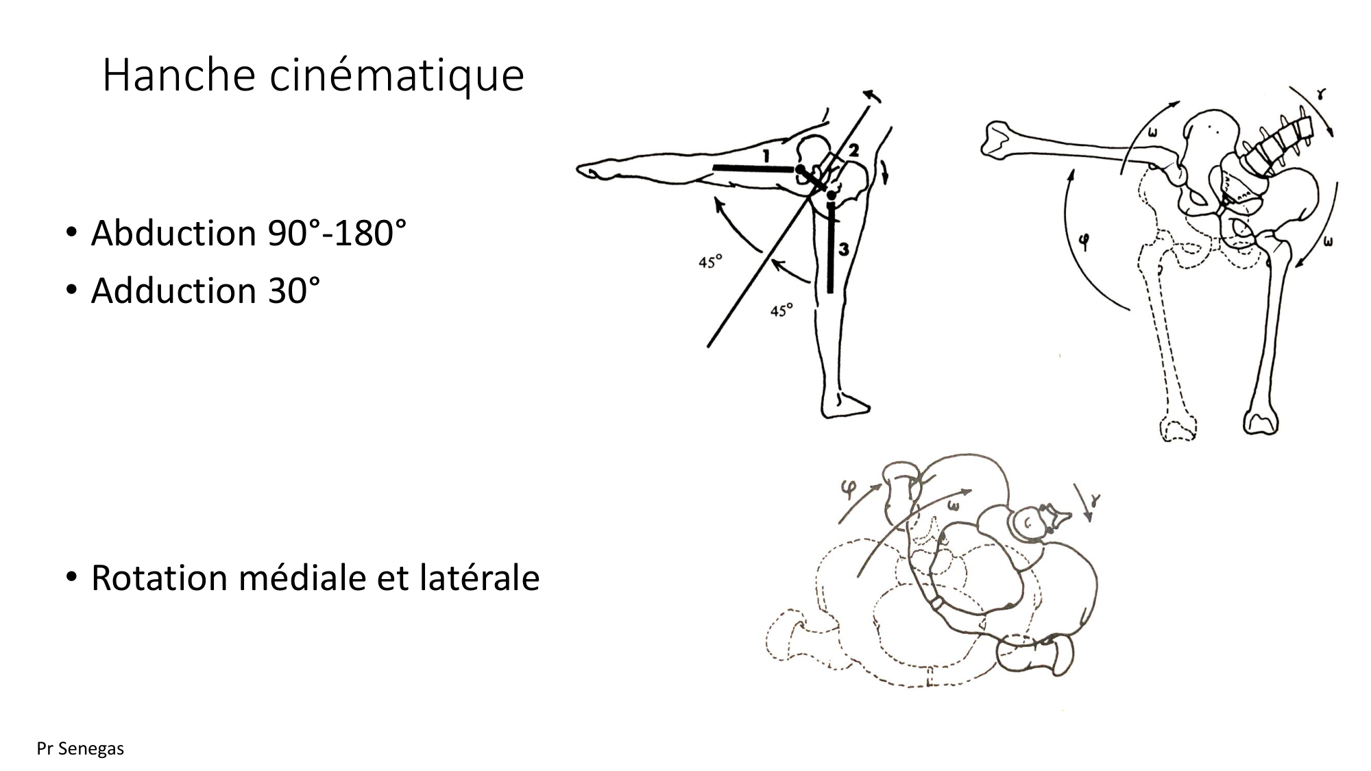 1 BA ostélogie MI bassin 2025-26 page 37