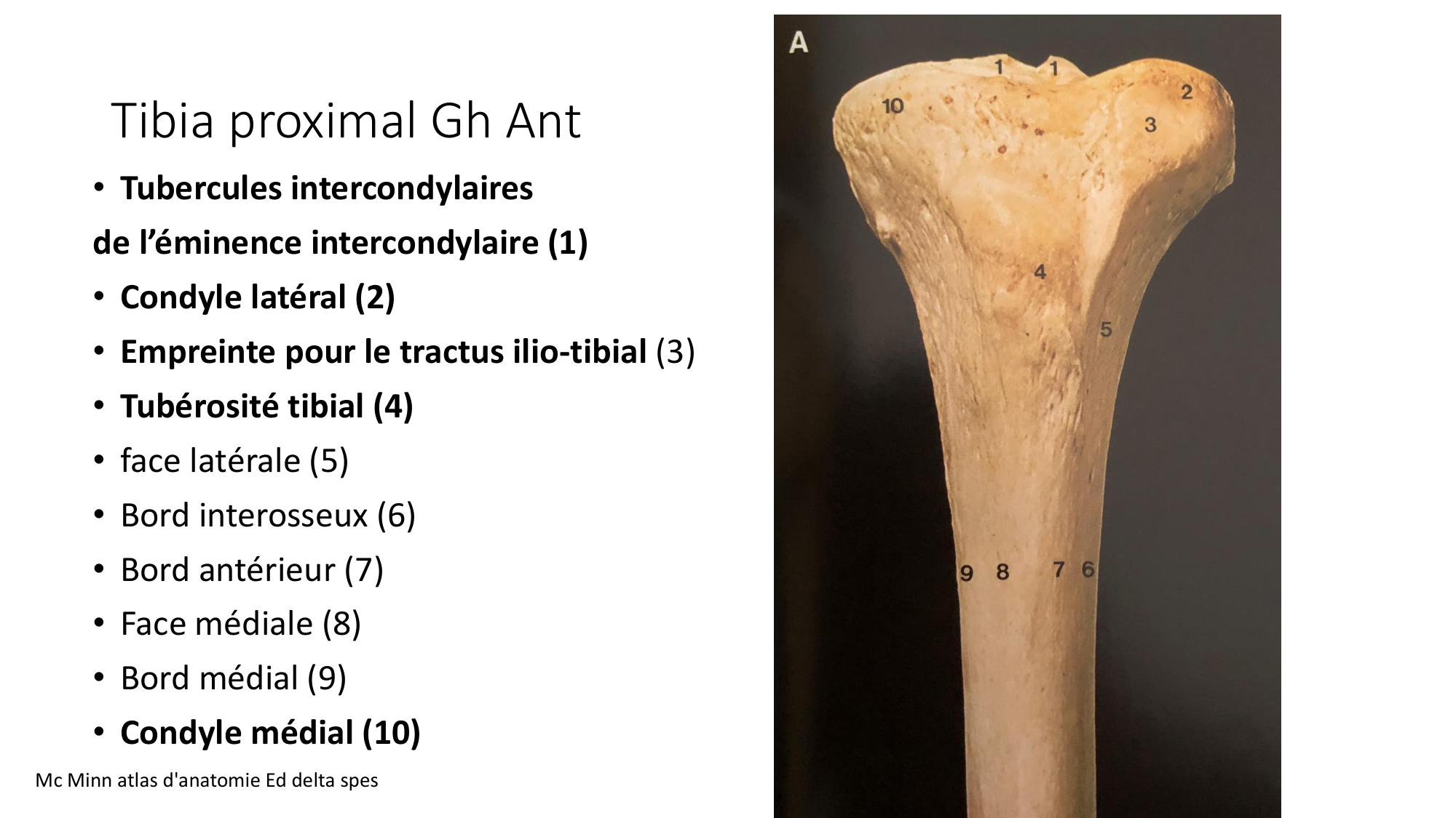 1 BA ostélogie MI bassin 2025-26 page 43