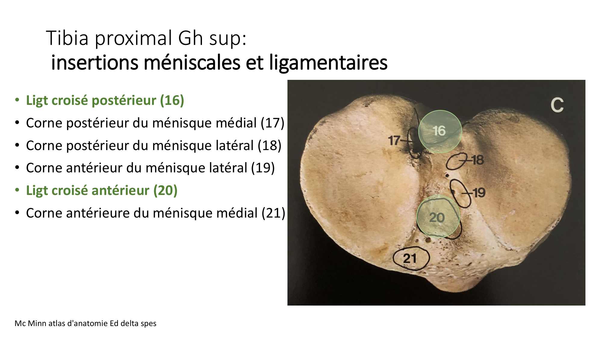 1 BA ostélogie MI bassin 2025-26 page 47