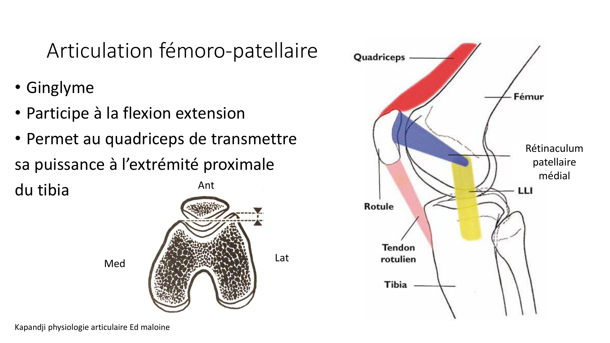 1 BA ostélogie MI bassin 2025-26 page 53