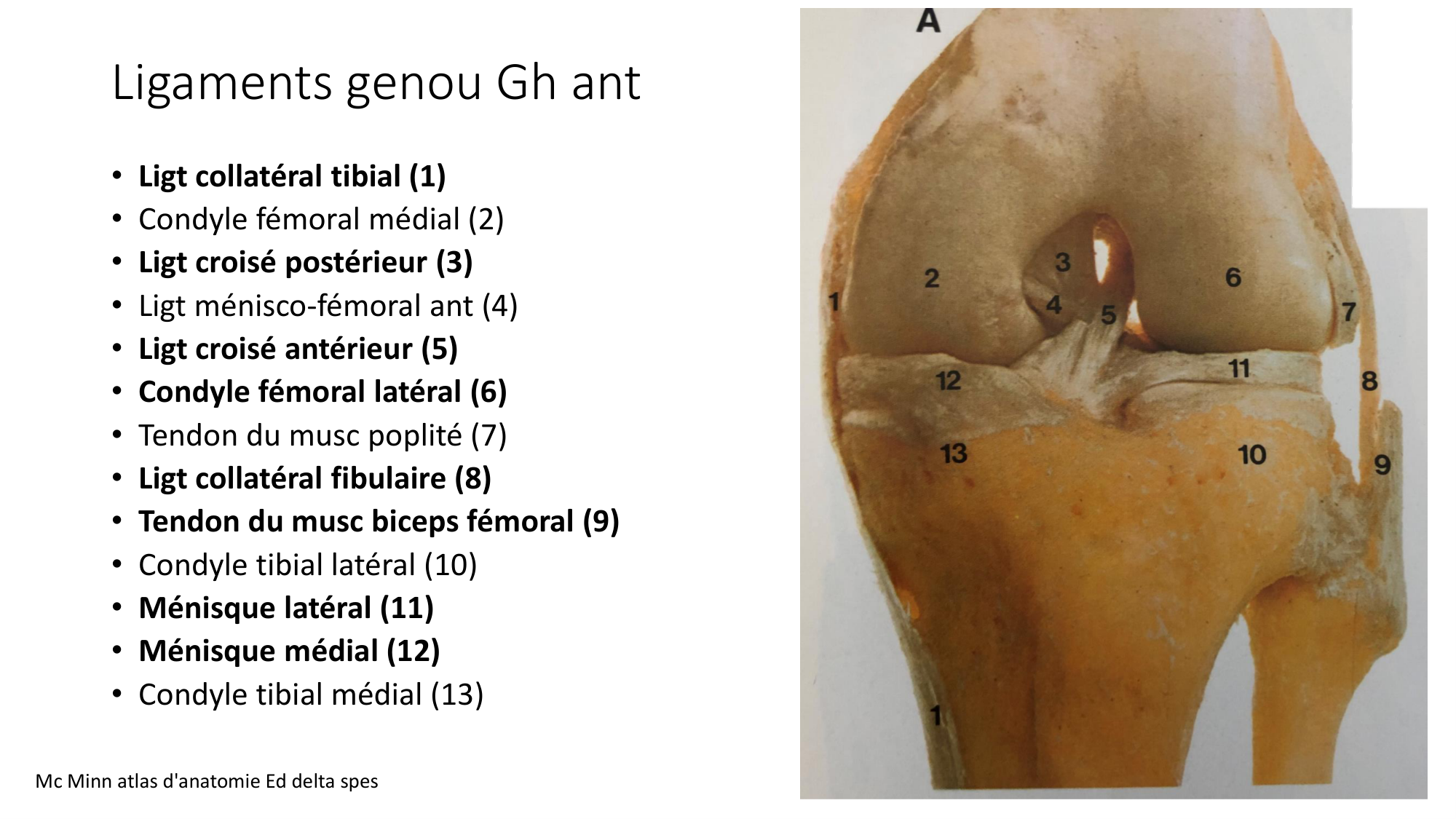 1 BA ostélogie MI bassin 2025-26 page 56