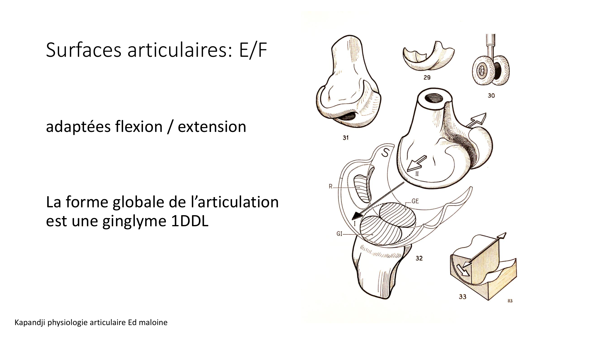 1 BA ostélogie MI bassin 2025-26 page 59