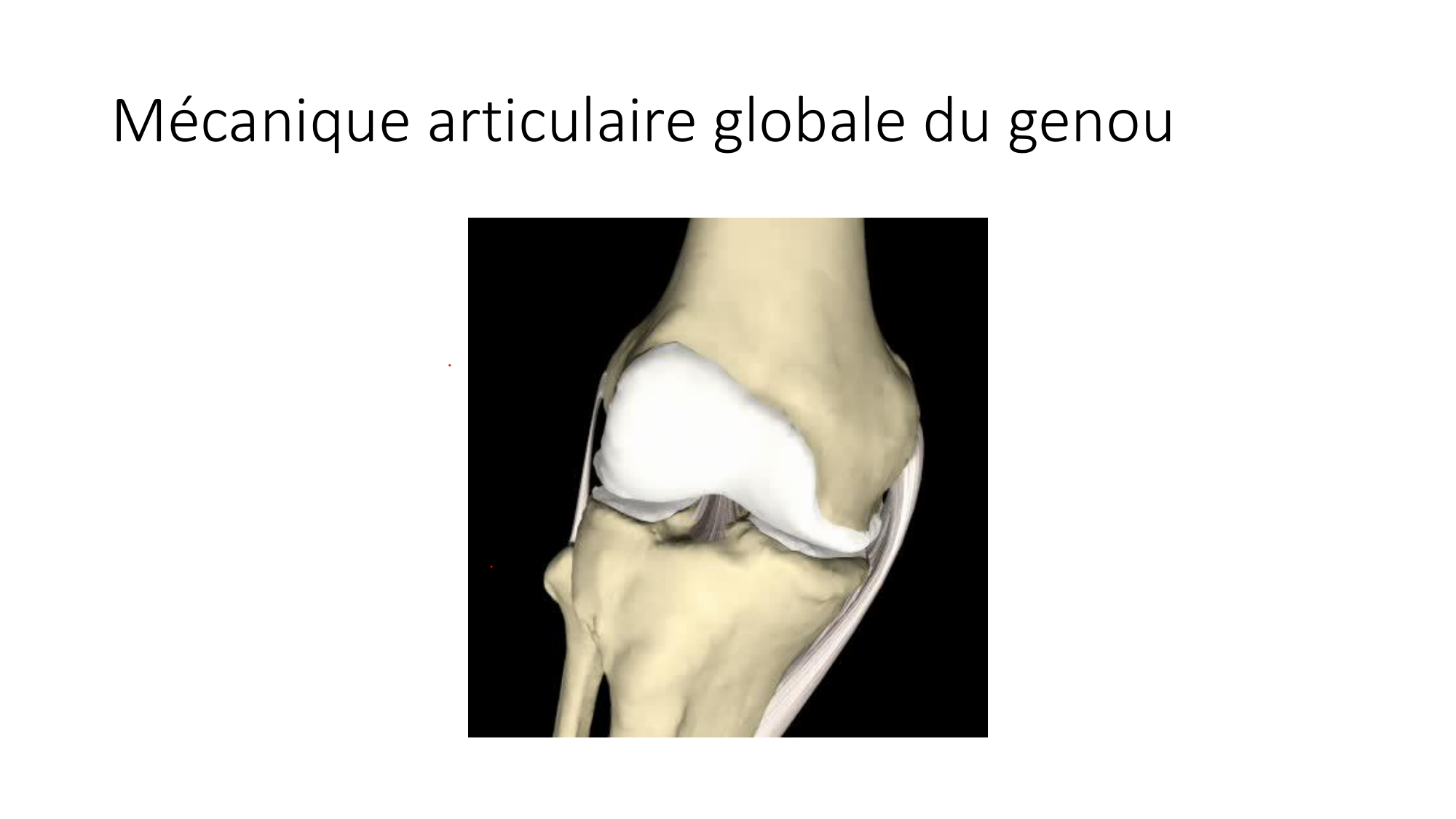 1 BA ostélogie MI bassin 2025-26 page 60