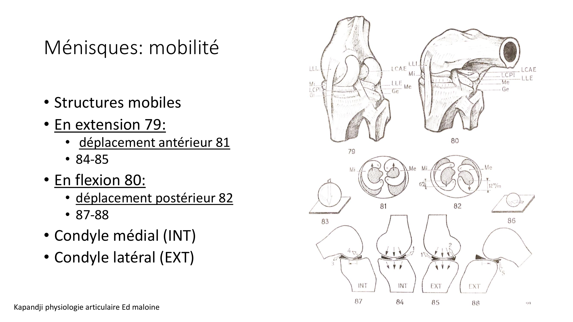 1 BA ostélogie MI bassin 2025-26 page 62