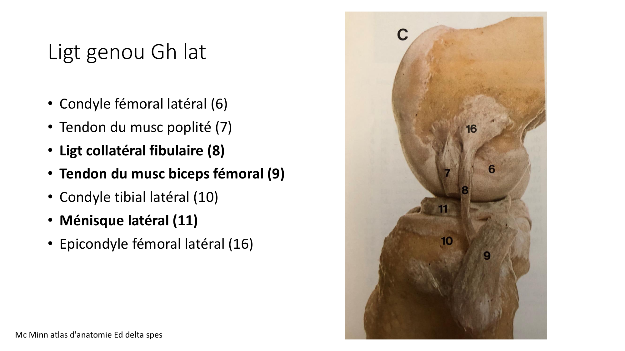 1 BA ostélogie MI bassin 2025-26 page 63