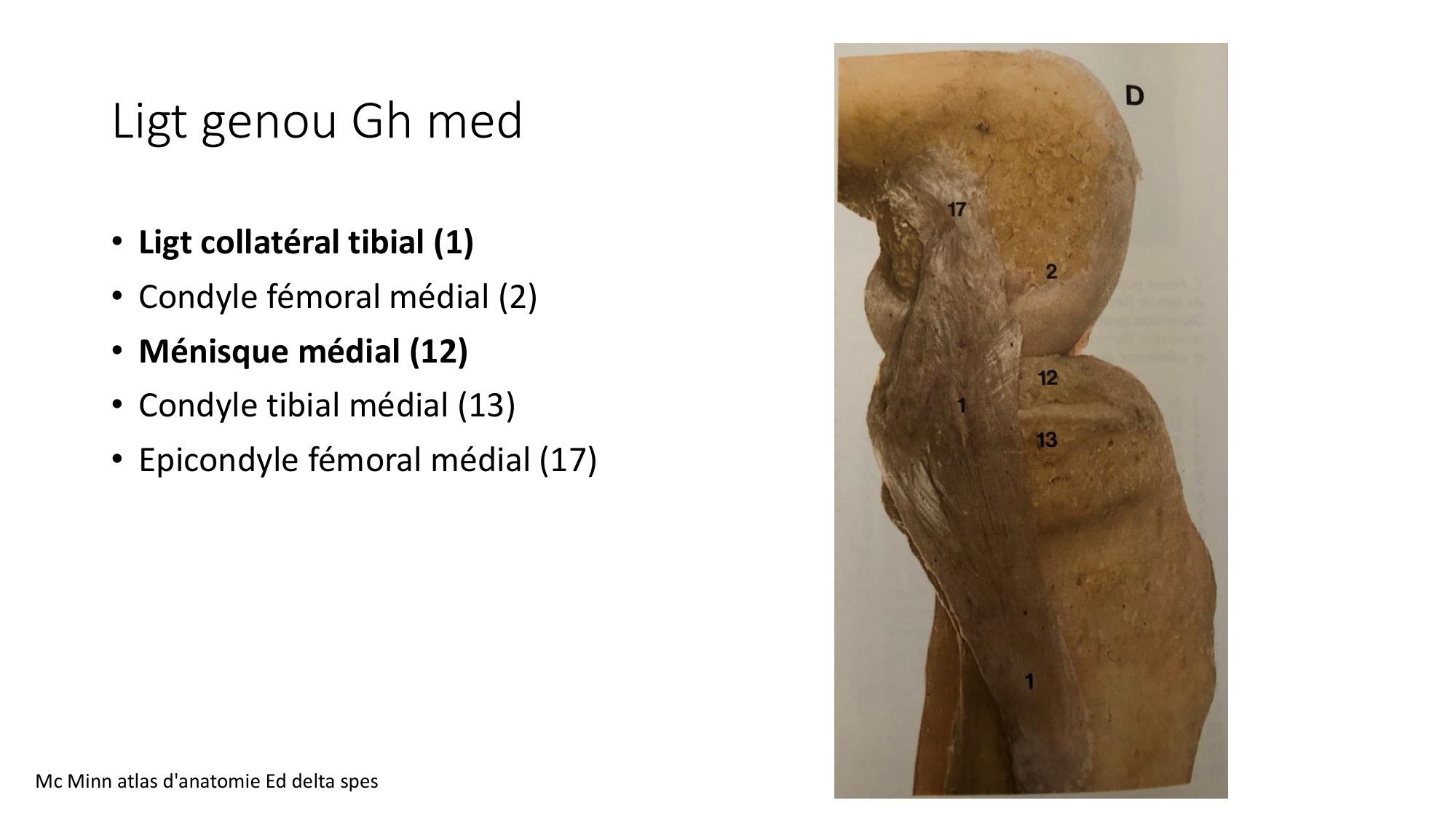 1 BA ostélogie MI bassin 2025-26 page 64