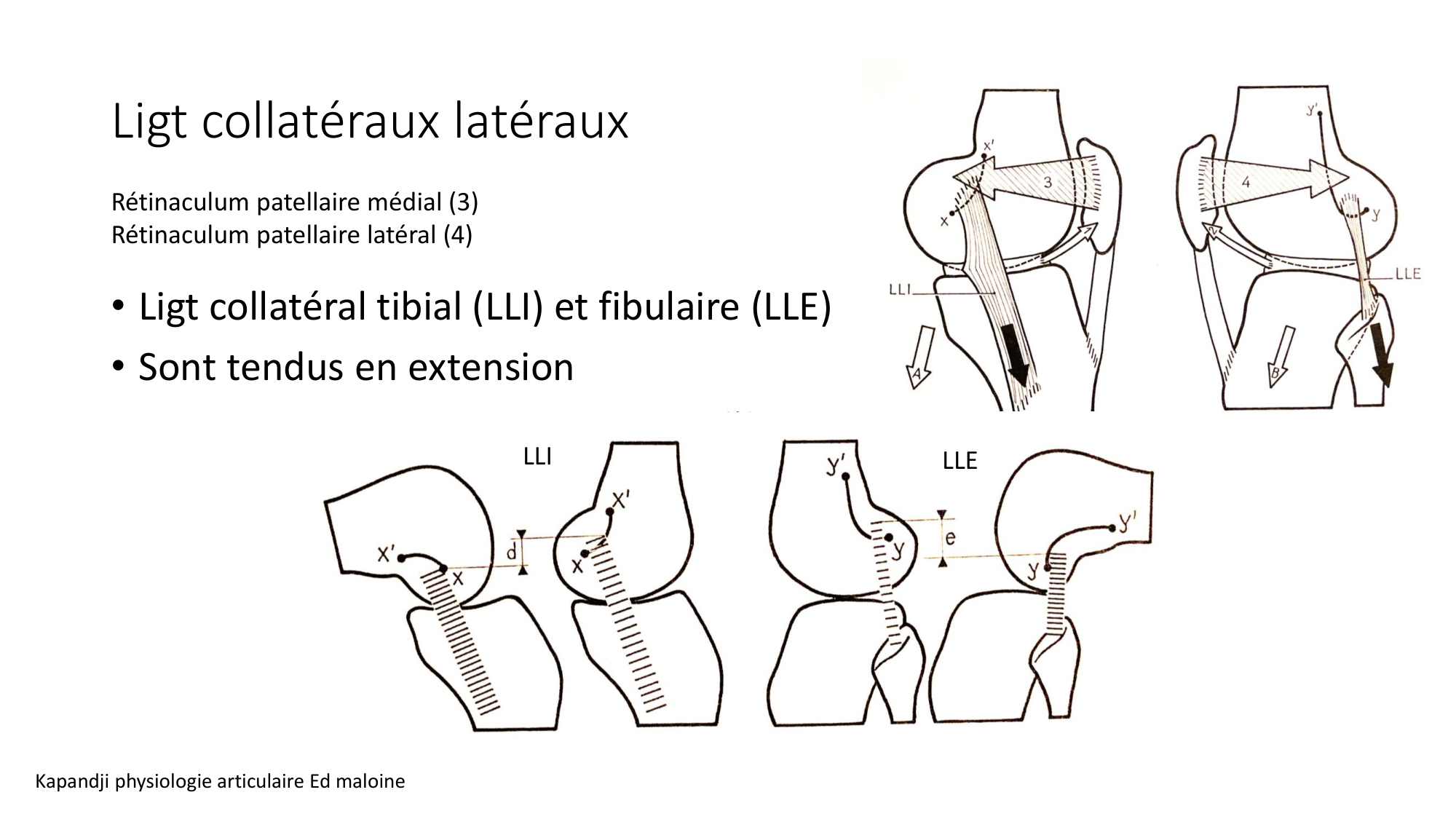 1 BA ostélogie MI bassin 2025-26 page 65