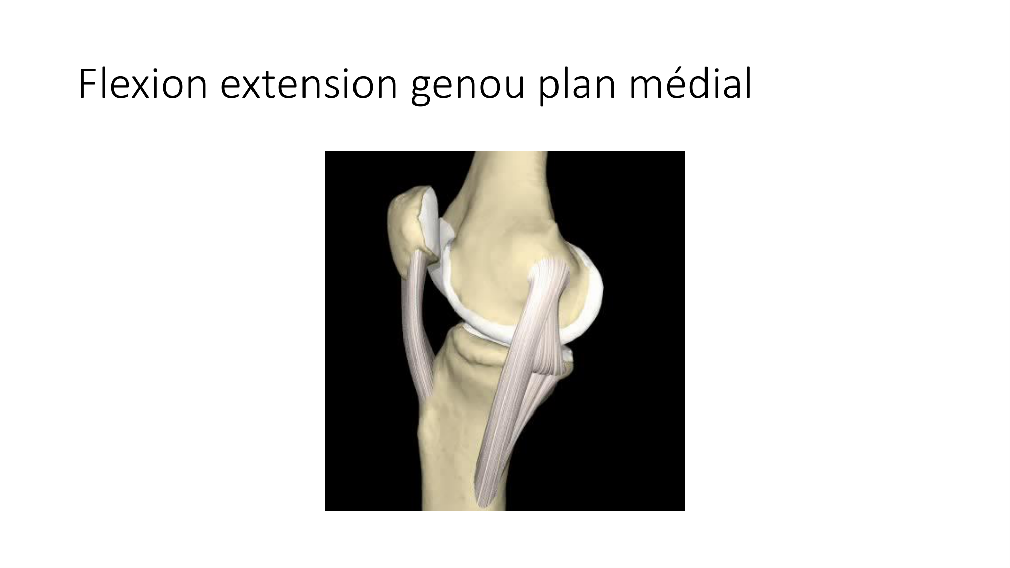 1 BA ostélogie MI bassin 2025-26 page 66