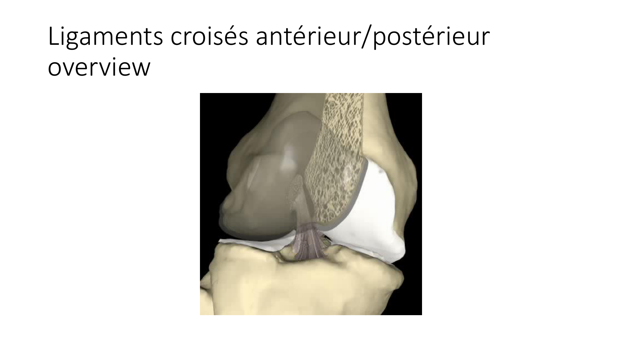 1 BA ostélogie MI bassin 2025-26 page 71