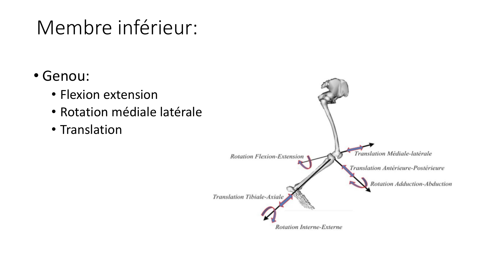 1 BA ostélogie MI bassin 2025-26 page 78