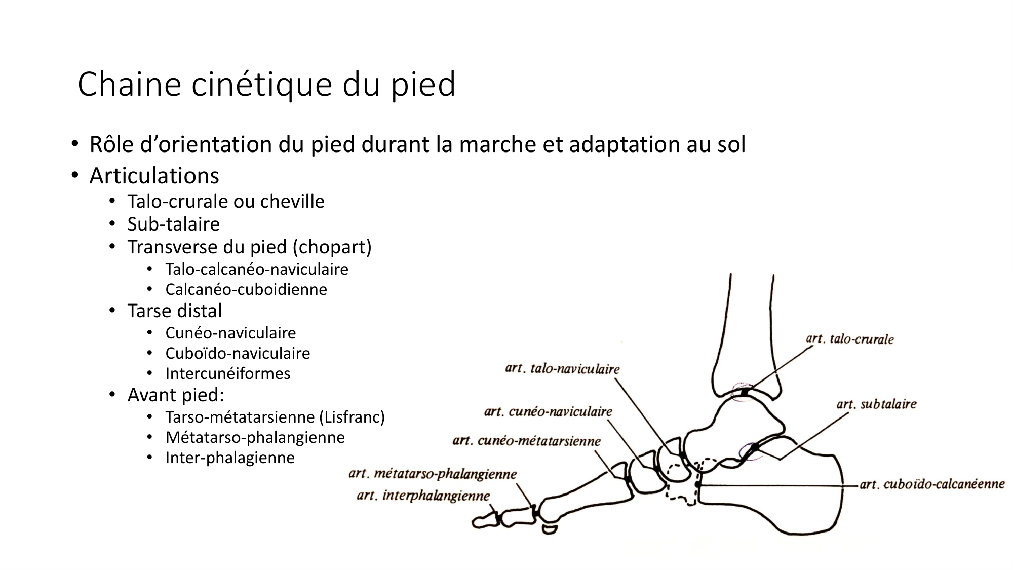1 BA ostélogie MI bassin 2025-26 page 86