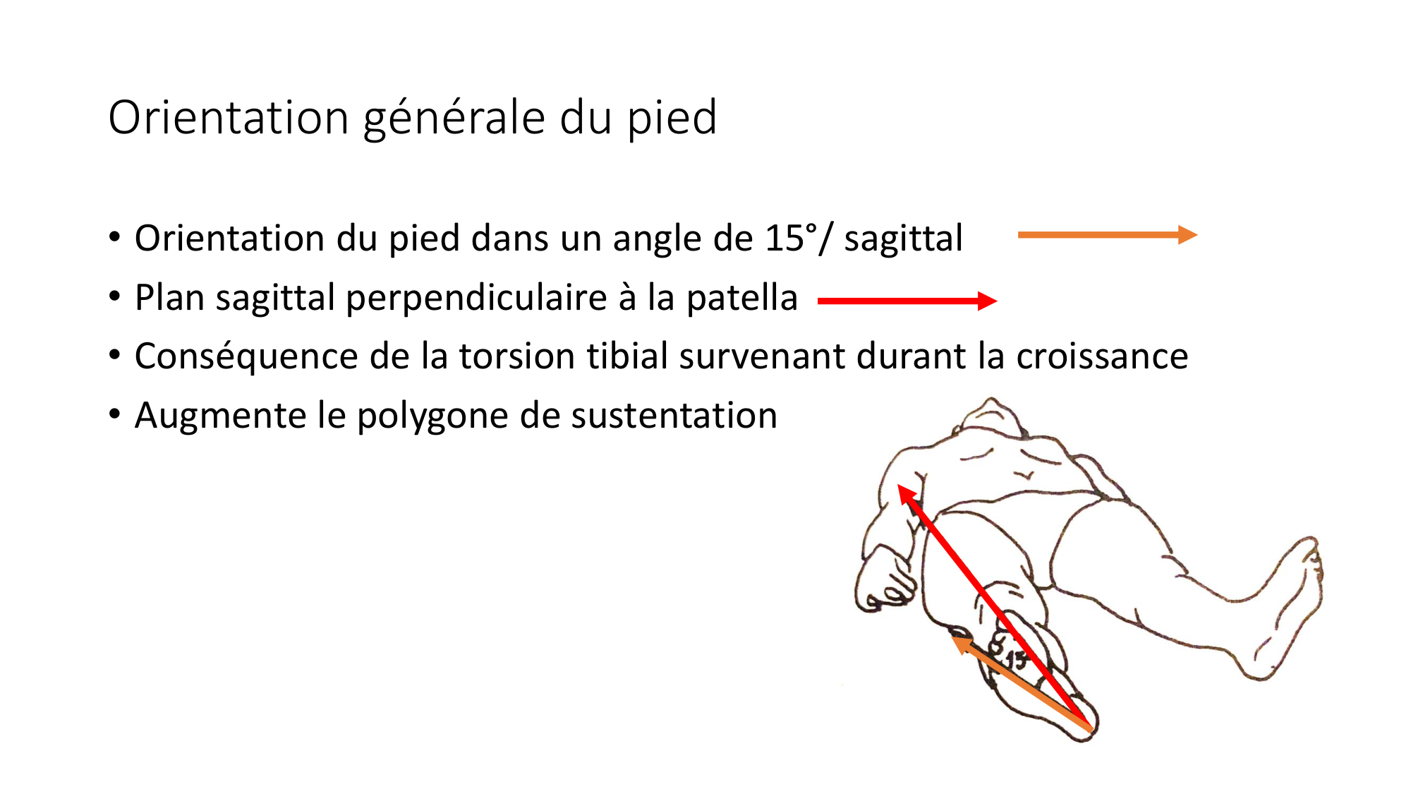 1 BA ostélogie MI bassin 2025-26 page 87