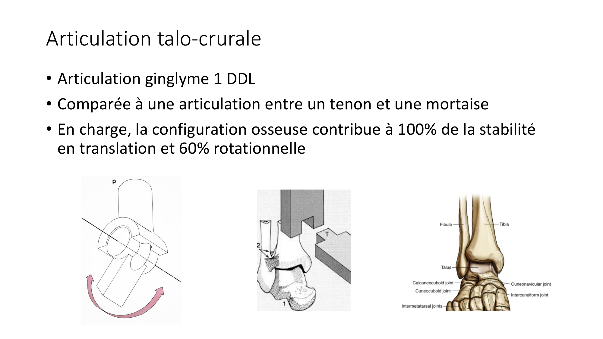 1 BA ostélogie MI bassin 2025-26 page 89