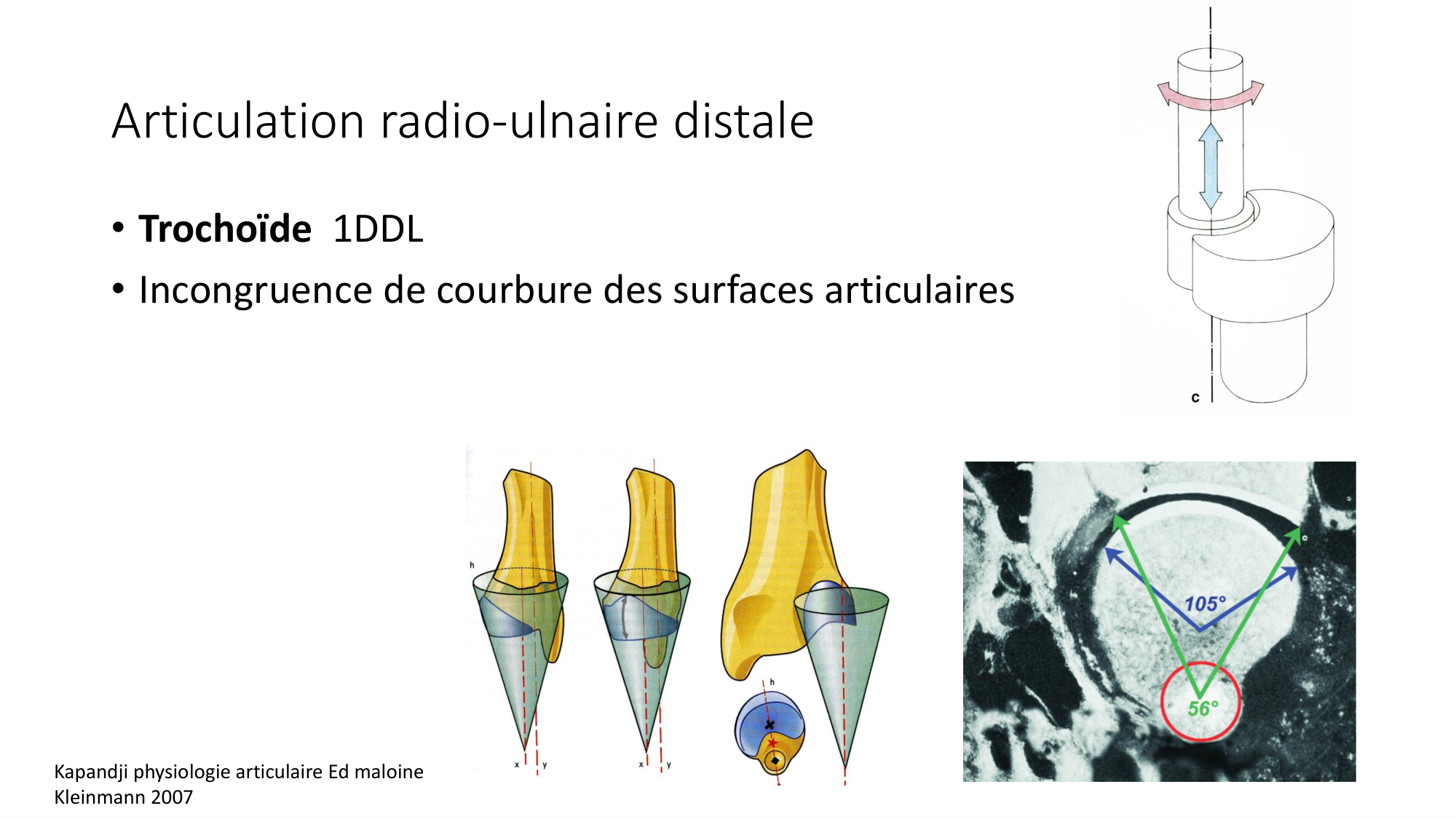 1 BA ostéologie MS thorax 2025-26 page 68