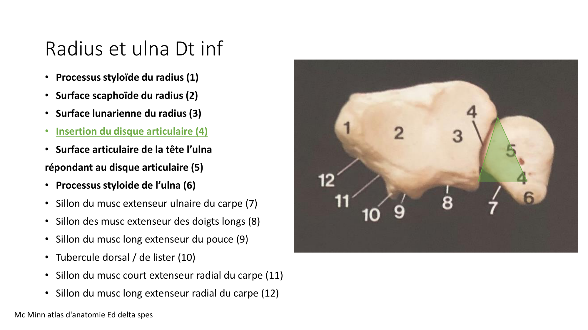 1 BA ostéologie MS thorax 2025-26 page 69