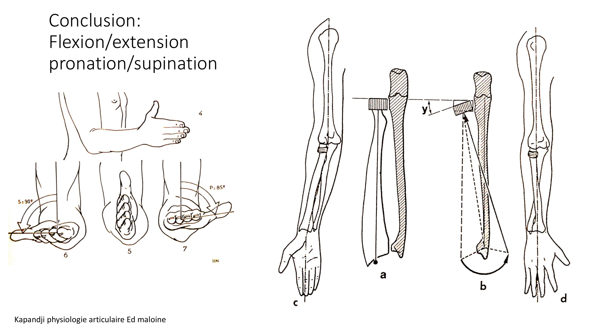 1 BA ostéologie MS thorax 2025-26 page 72