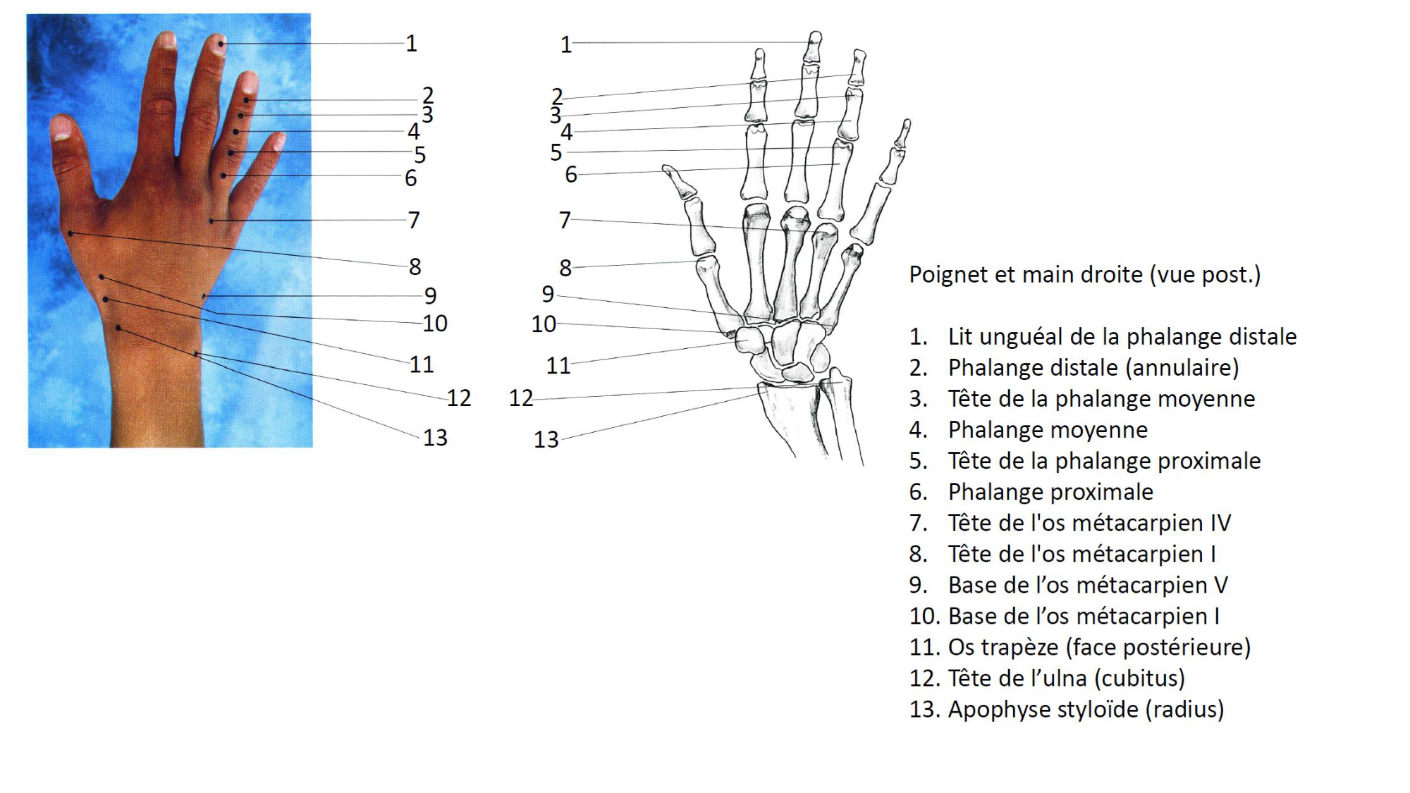 1BA main 2025-26 page 3