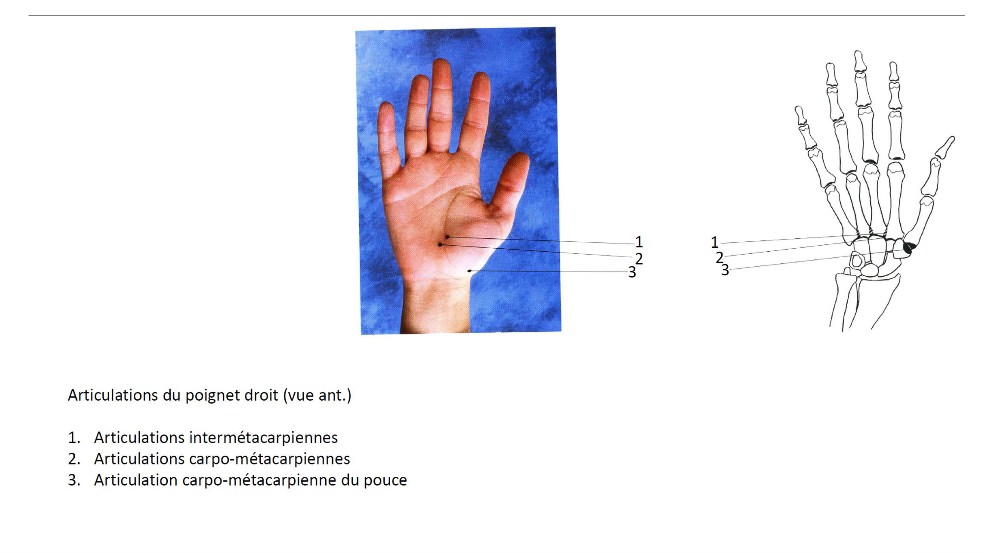 1BA main 2025-26 page 6